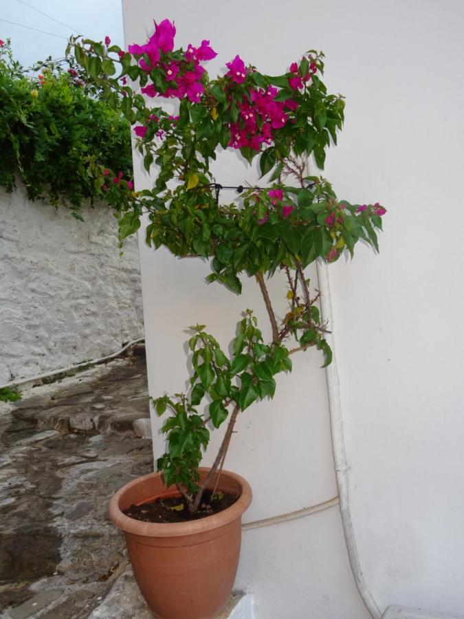 Fotis House Villa Koroni  Luaran gambar