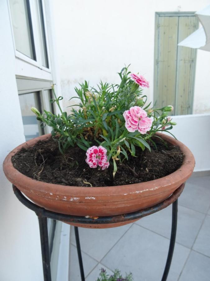 Fotis House Villa Koroni  Luaran gambar